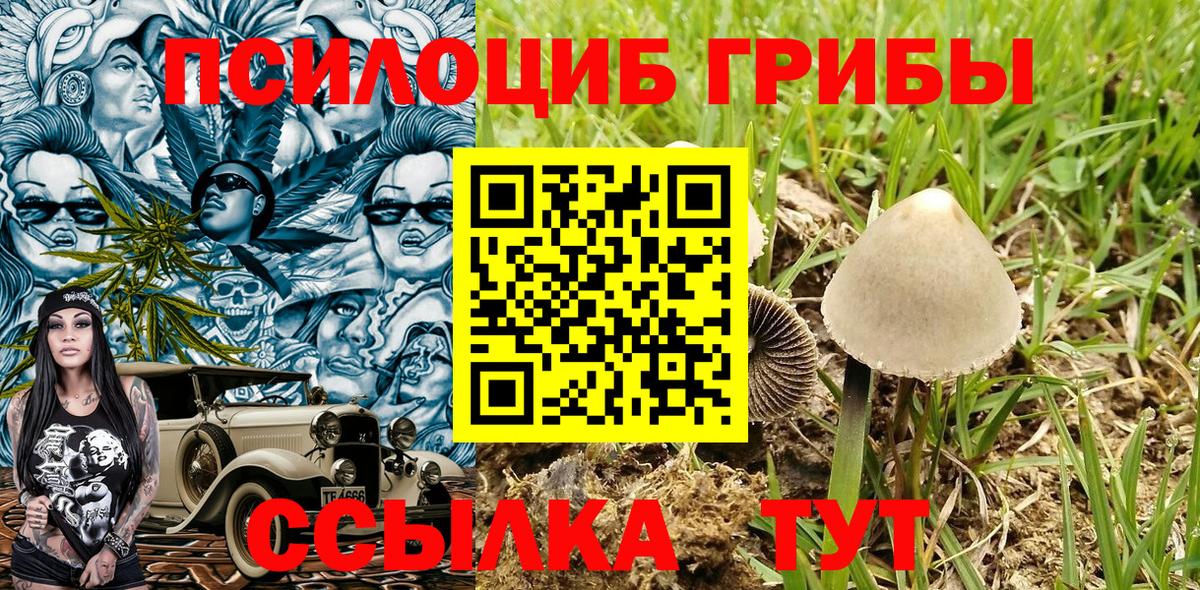 Псилоцибиновые грибы Psilocybine cubensis Белая Калитва