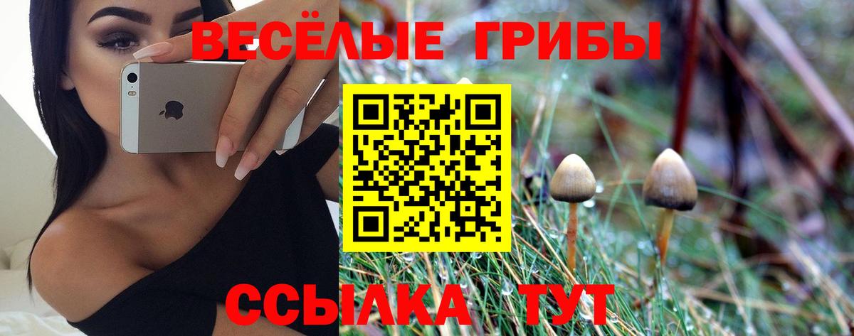 Белая Калитва  Псилоцибиновые грибы Psilocybe  Вход с VPN 
